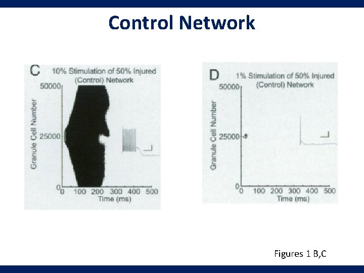 Control Network Figures 1 B, C 