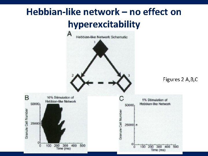 Hebbian-like network – no effect on hyperexcitability Figures 2 A, B, C 