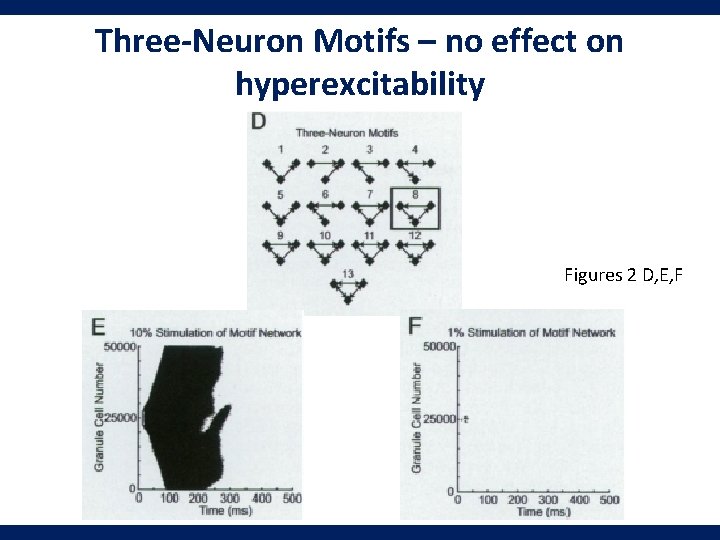 Three-Neuron Motifs – no effect on hyperexcitability Figures 2 D, E, F 