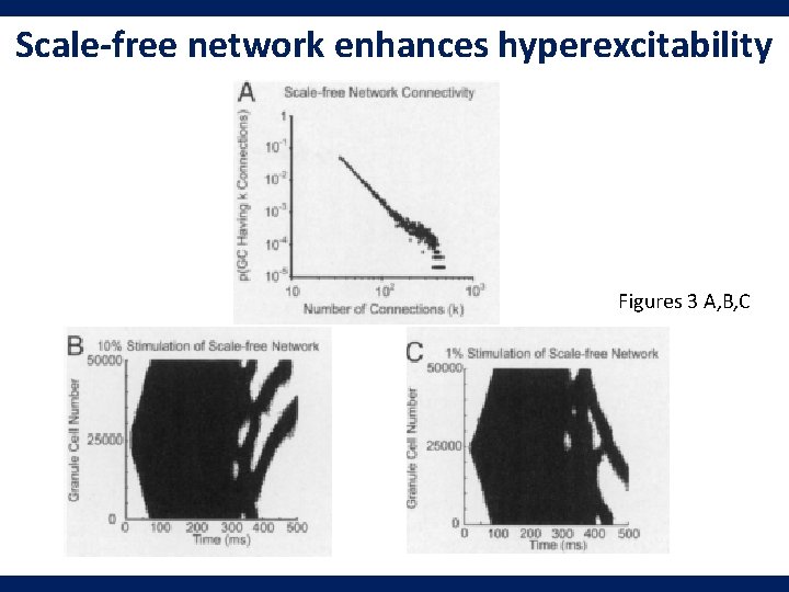 Scale-free network enhances hyperexcitability Figures 3 A, B, C 