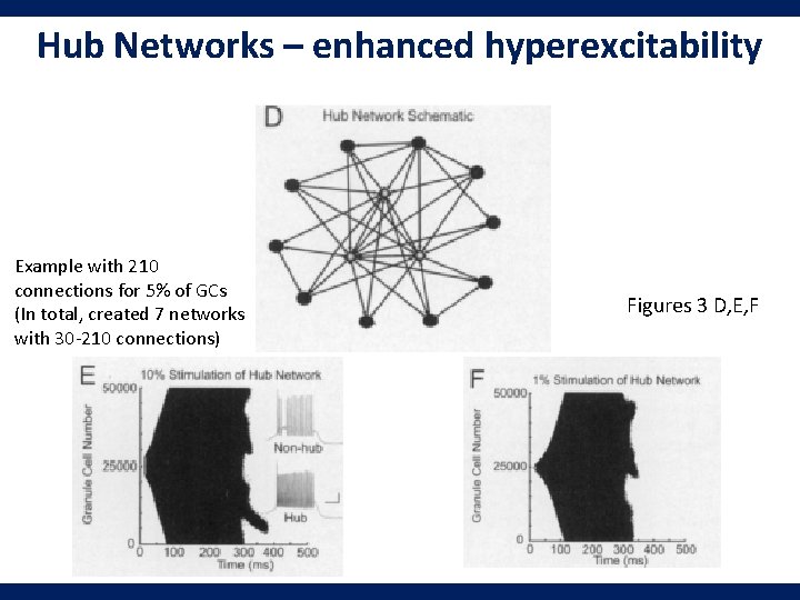 Hub Networks – enhanced hyperexcitability Example with 210 connections for 5% of GCs (In