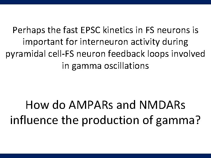 Perhaps the fast EPSC kinetics in FS neurons is important for interneuron activity during