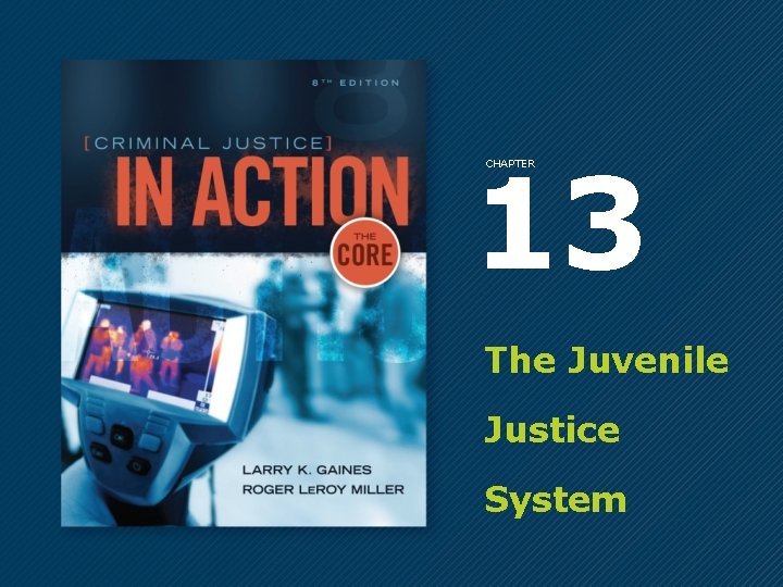 13 CHAPTER The Juvenile Justice System 