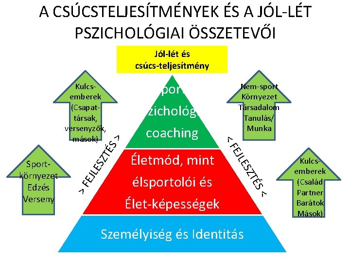 A CSÚCSTELJESÍTMÉNYEK ÉS A JÓL-LÉT PSZICHOLÓGIAI ÖSSZETEVŐI Jól-lét és csúcs-teljesítmény S> ZT É >F