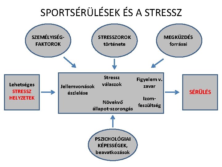 SPORTSÉRÜLÉSEK ÉS A STRESSZ SZEMÉLYISÉGFAKTOROK Lehetséges STRESSZ HELYZETEK STRESSZOROK története Jellemvonások észlelése Stressz válaszok