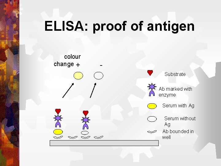 ELISA: proof of antigen colour change + Substrate Ab marked with enzyme Serum with