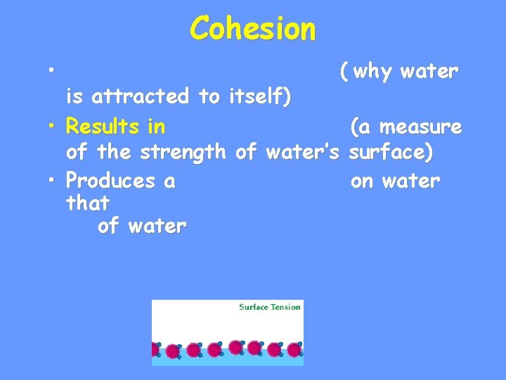 Cohesion • ( why water is attracted to itself) • Results in (a measure