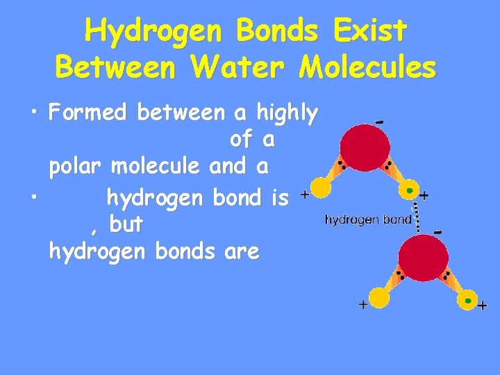 Hydrogen Bonds Exist Between Water Molecules • Formed between a highly of a polar
