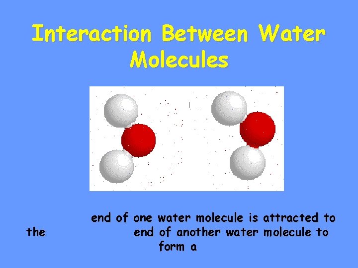 Interaction Between Water Molecules the end of one water molecule is attracted to end