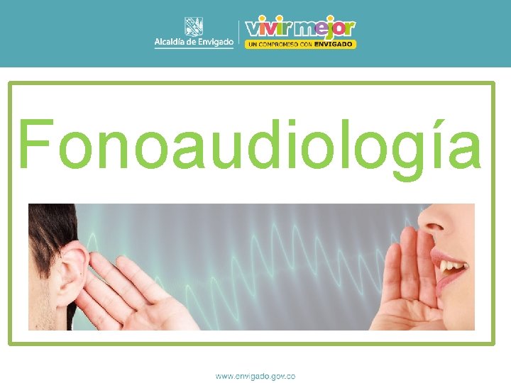 Fonoaudiología 