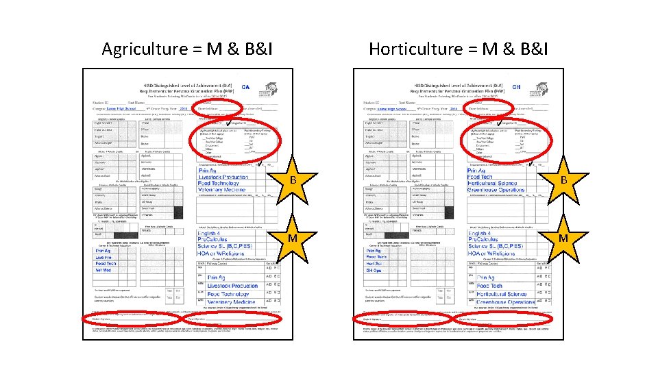 Agriculture = M & B&I Horticulture = M & B&I B B M M