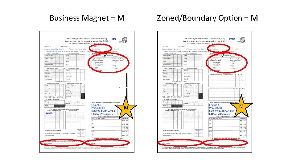 Business Magnet = M M Zoned/Boundary Option = M M 