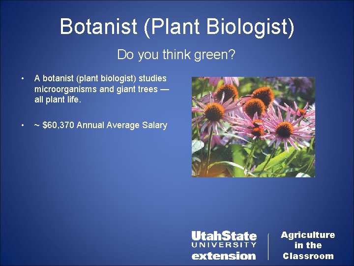 Botanist (Plant Biologist) Do you think green? • A botanist (plant biologist) studies microorganisms