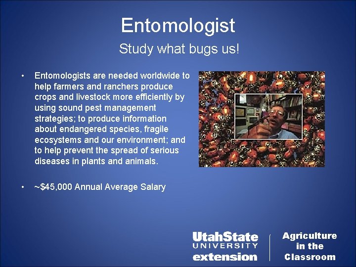 Entomologist Study what bugs us! • Entomologists are needed worldwide to help farmers and