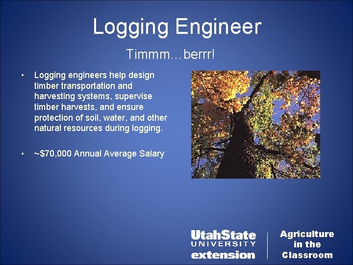 Logging Engineer Timmm…berrr! • Logging engineers help design timber transportation and harvesting systems, supervise