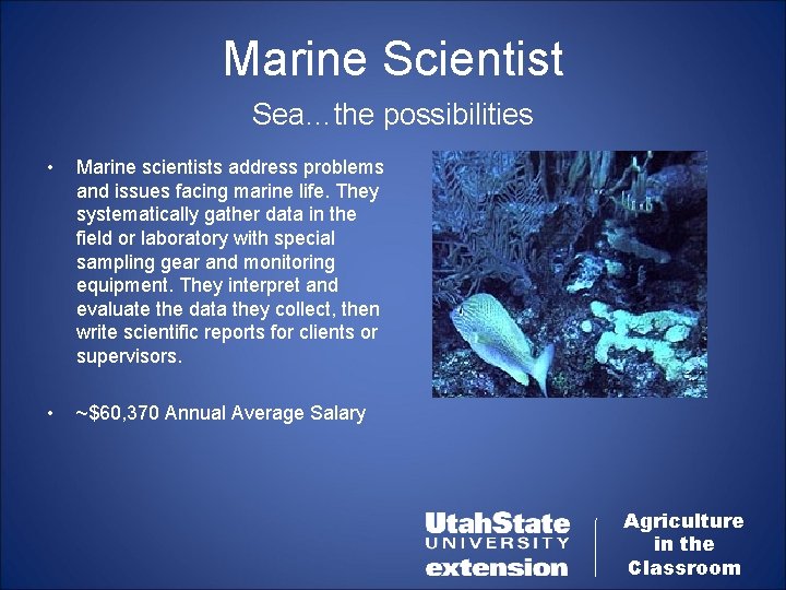 Marine Scientist Sea…the possibilities • Marine scientists address problems and issues facing marine life.