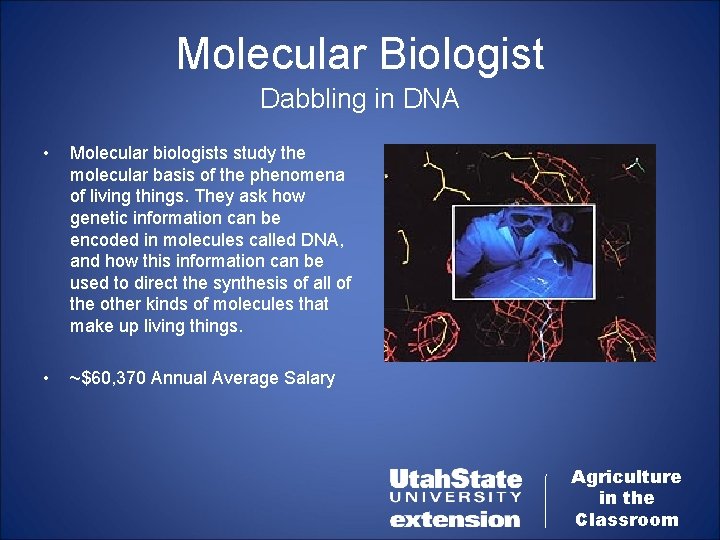 Molecular Biologist Dabbling in DNA • Molecular biologists study the molecular basis of the