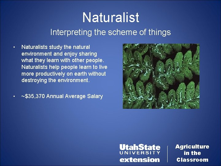Naturalist Interpreting the scheme of things • Naturalists study the natural environment and enjoy