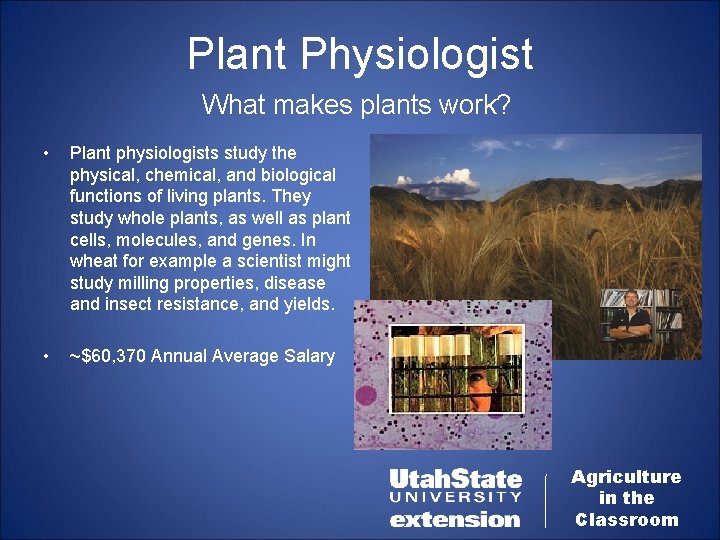 Plant Physiologist What makes plants work? • Plant physiologists study the physical, chemical, and