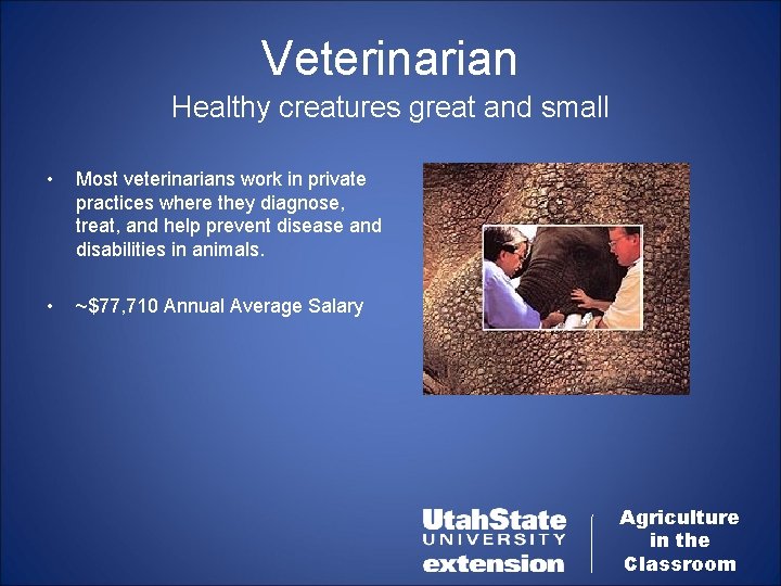 Veterinarian Healthy creatures great and small • Most veterinarians work in private practices where