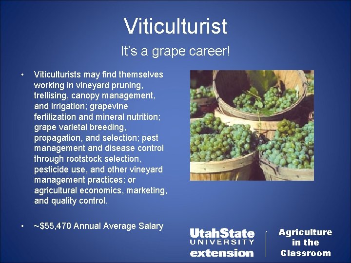 Viticulturist It’s a grape career! • Viticulturists may find themselves working in vineyard pruning,