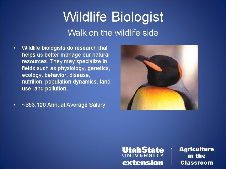 Wildlife Biologist Walk on the wildlife side • Wildlife biologists do research that helps