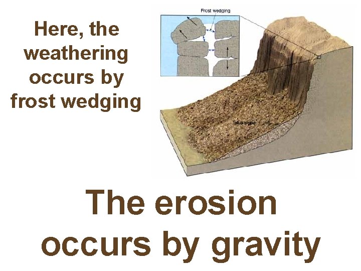 Here, the weathering occurs by frost wedging The erosion occurs by gravity 