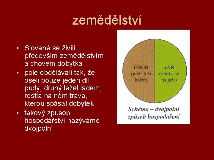 zemědělství • Slované se živili především zemědělstvím a chovem dobytka • pole obdělávali tak,