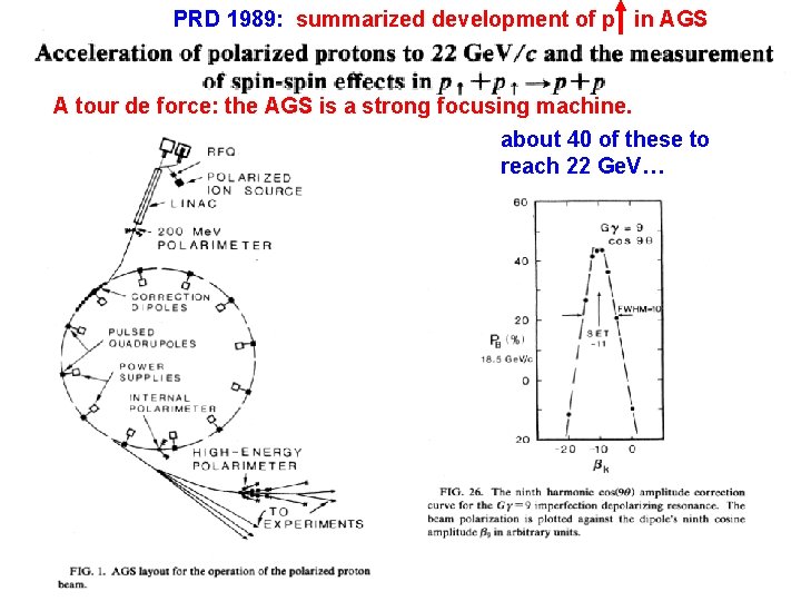 PRD 1989: summarized development of p in AGS A tour de force: the AGS