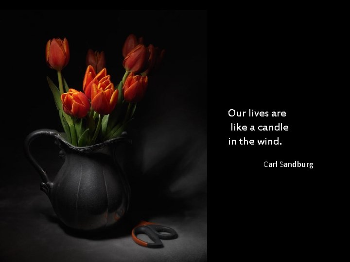 Our lives are like a candle in the wind. Carl Sandburg 