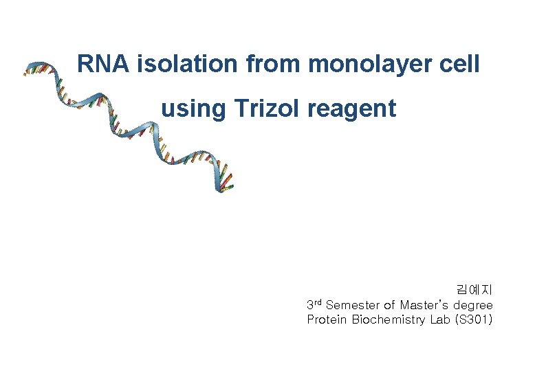 RNA isolation from monolayer cell using Trizol reagent 김예지 3 rd Semester of Master’s