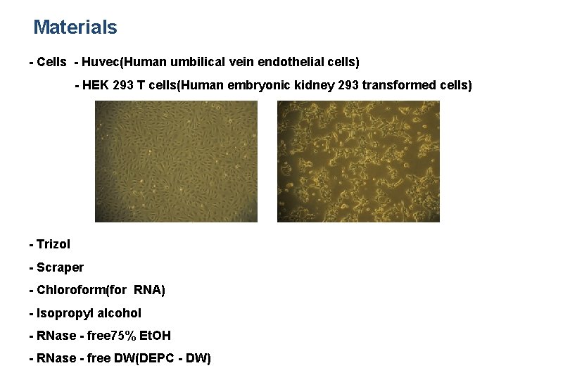 Materials - Cells - Huvec(Human umbilical vein endothelial cells) - HEK 293 T cells(Human