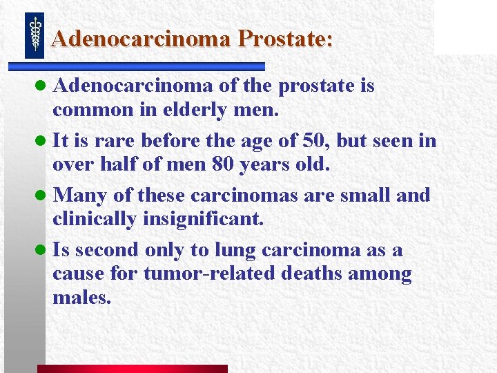 Adenocarcinoma Prostate: l Adenocarcinoma of the prostate is common in elderly men. l It Adenocarcinoma Prostate: l Adenocarcinoma of the prostate is common in elderly men. l It