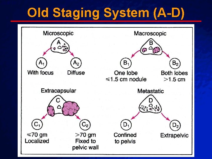 Slide 68 © 2003 By Default! Old Staging System (A-D) A Free sample background Slide 68 © 2003 By Default! Old Staging System (A-D) A Free sample background