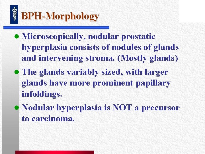 BPH-Morphology l Microscopically, nodular prostatic hyperplasia consists of nodules of glands and intervening stroma. BPH-Morphology l Microscopically, nodular prostatic hyperplasia consists of nodules of glands and intervening stroma.
