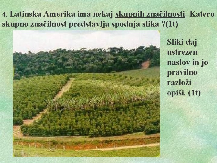 4. Latinska Amerika ima nekaj skupnih značilnosti. Katero skupno značilnost predstavlja spodnja slika ?