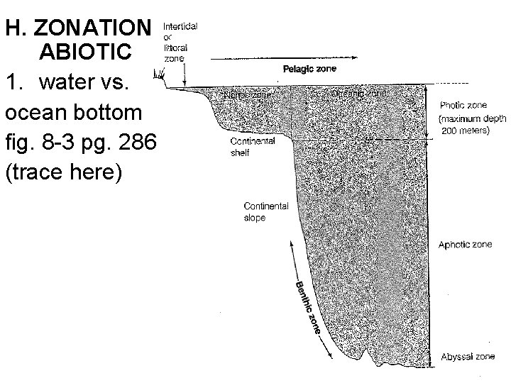 H. ZONATION ABIOTIC 1. water vs. ocean bottom fig. 8 -3 pg. 286 (trace