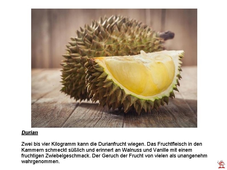 Durian Zwei bis vier Kilogramm kann die Durianfrucht wiegen. Das Fruchtfleisch in den Kammern