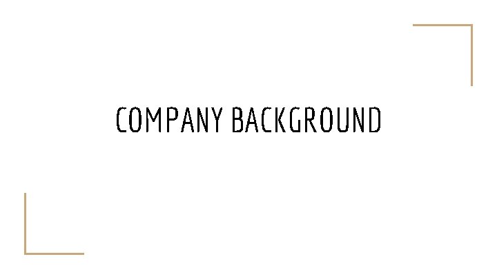 COMPANY BACKGROUND 