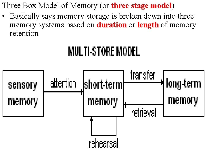 Three Box Model of Memory (or three stage model) model • Basically says memory