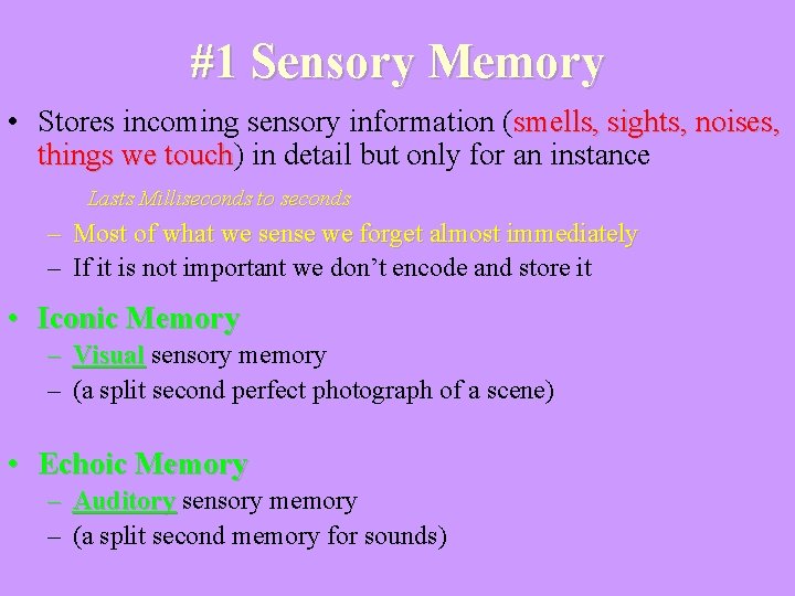 #1 Sensory Memory • Stores incoming sensory information (smells, sights, noises, things we touch)