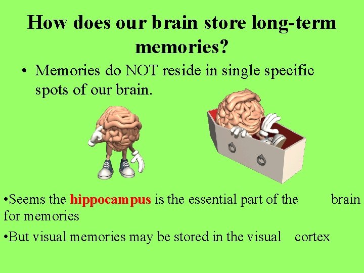 How does our brain store long-term memories? • Memories do NOT reside in single