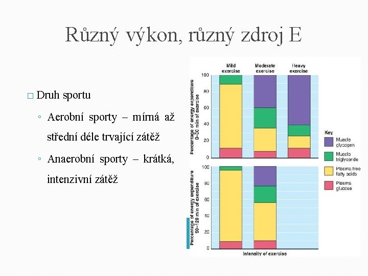 Různý výkon, různý zdroj E � Druh sportu ◦ Aerobní sporty – mírná až