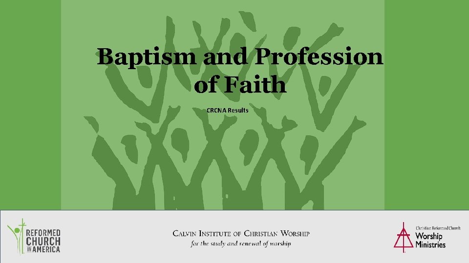 Baptism and Profession of Faith CRCNA Results 18 