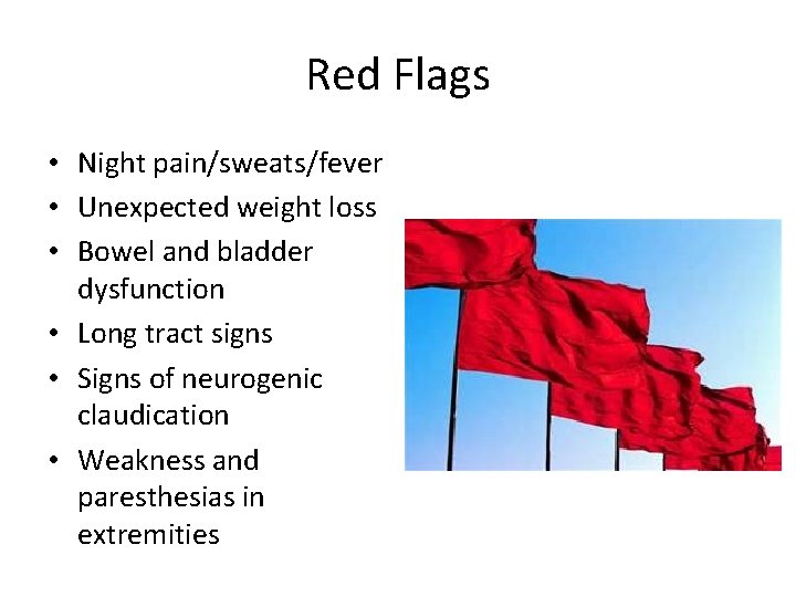 Red Flags • Night pain/sweats/fever • Unexpected weight loss • Bowel and bladder dysfunction