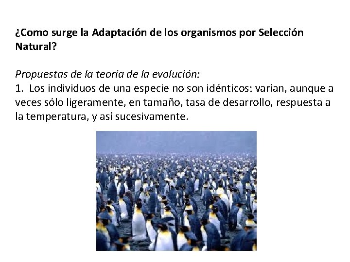 ¿Como surge la Adaptación de los organismos por Selección Natural? Propuestas de la teoría