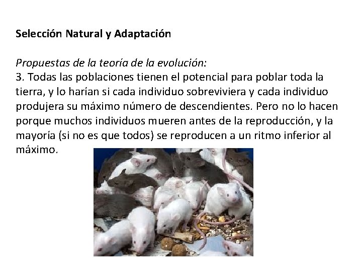 Selección Natural y Adaptación Propuestas de la teoría de la evolución: 3. Todas las