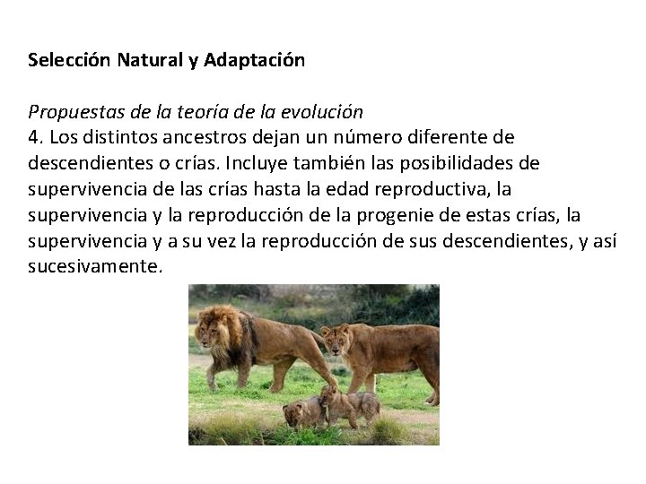 Selección Natural y Adaptación Propuestas de la teoría de la evolución 4. Los distintos