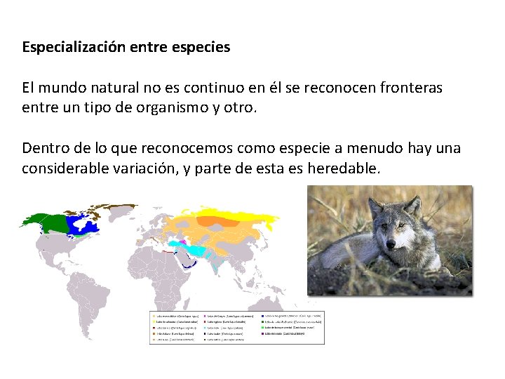 Especialización entre especies El mundo natural no es continuo en él se reconocen fronteras