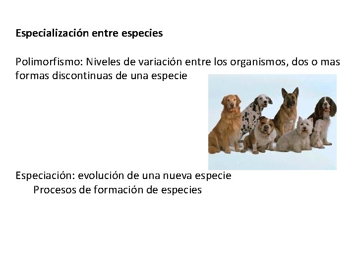 Especialización entre especies Polimorfismo: Niveles de variación entre los organismos, dos o mas formas